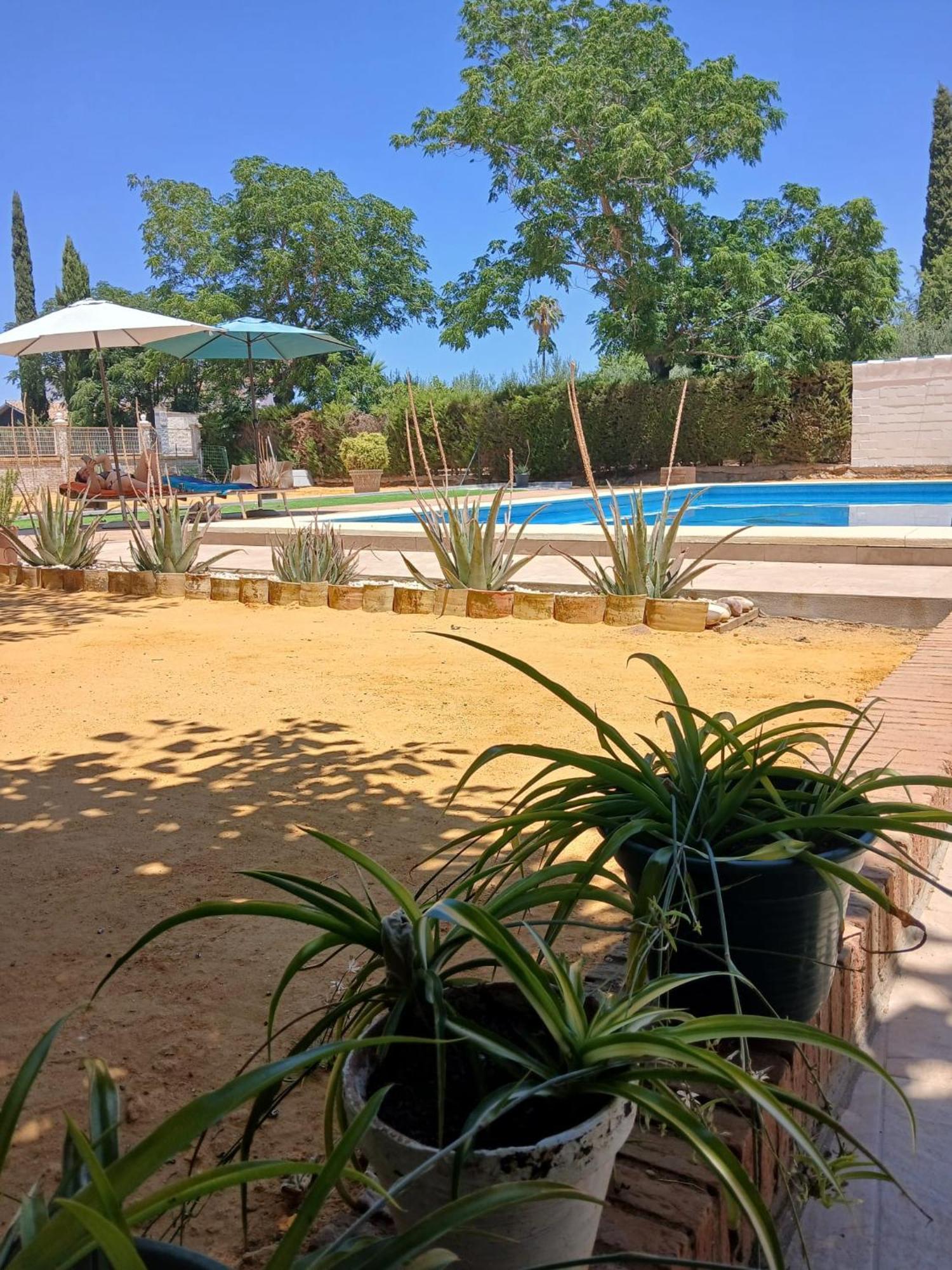 Relaxing Home Carmona  Dış mekan fotoğraf